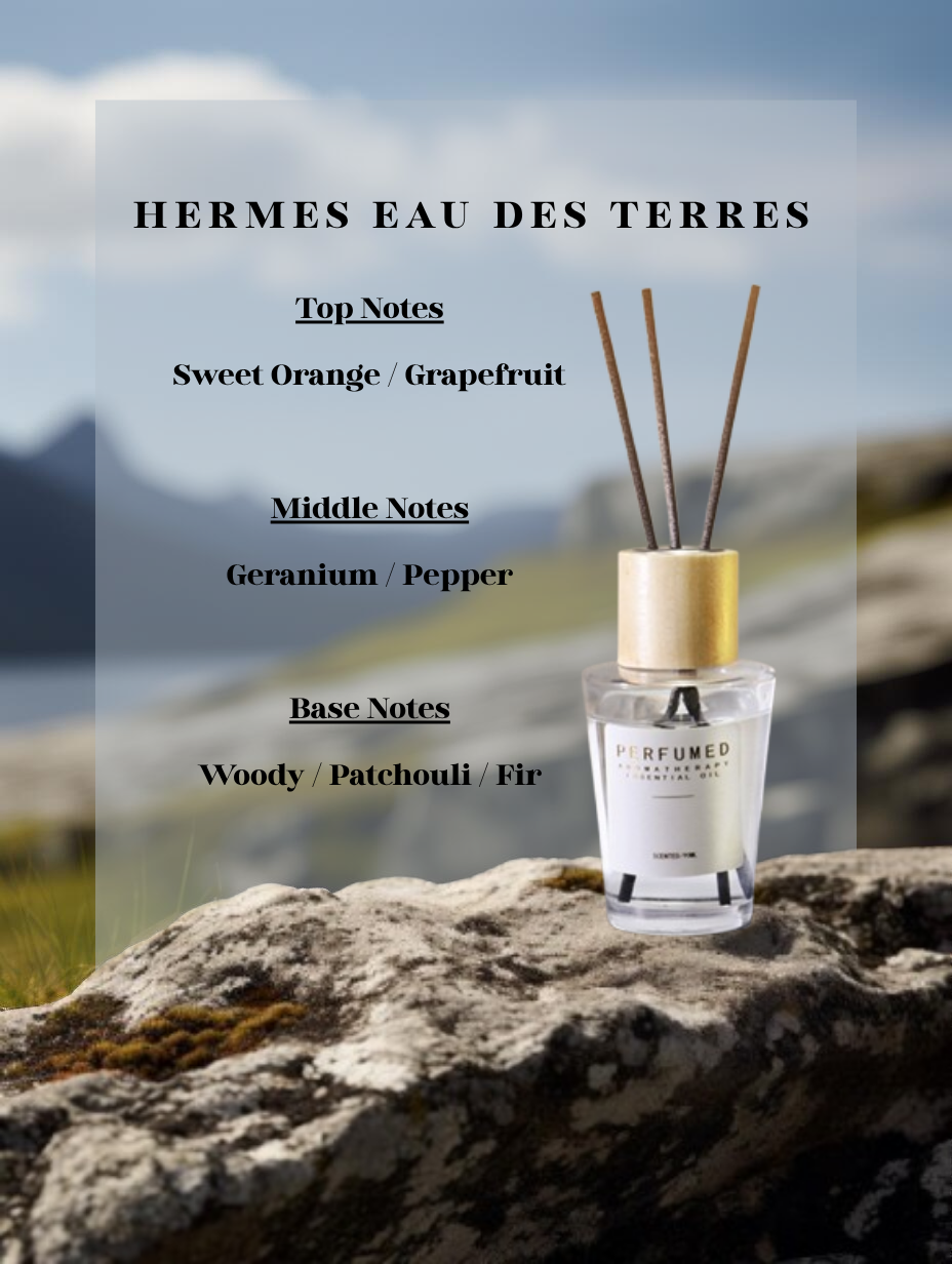 Hermes Eau des Terres Reed Diffuser