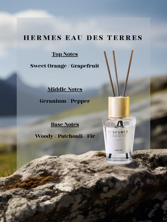 Hermes Eau des Terres Reed Diffuser